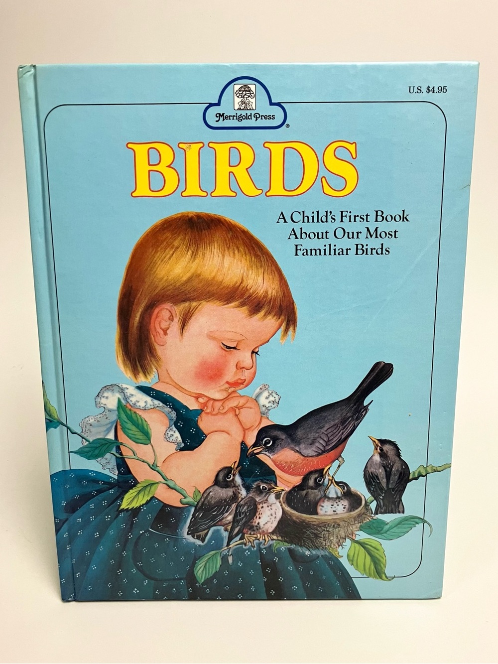 Vintage 1950s Children's Book Birds Merrigold Press 1958 Educational